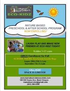 Eco Kids School Flyer