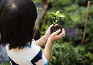 mamabear caring for plants