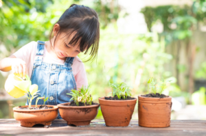 mamabear preschool growing things